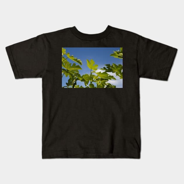 Fig Leaves Kids T-Shirt by rhintl